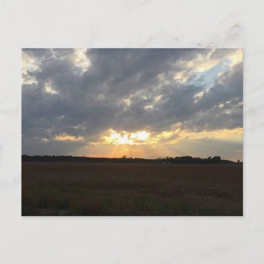 日没はがき ポストカード (正面)