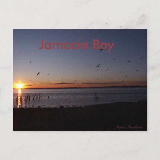 日没はがき ポストカード (正面)