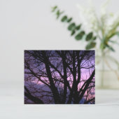 日没はがき ポストカード (スタンド正面)