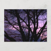 日没はがき ポストカード (正面)