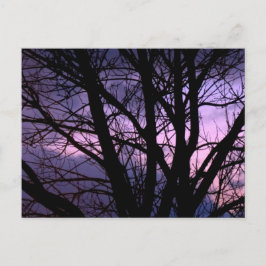 日没はがき ポストカード