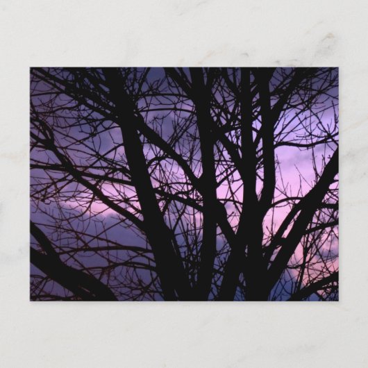 日没はがき ポストカード (正面)