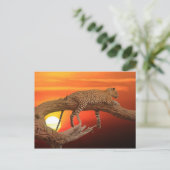 日没はがきLeopard ポストカード (スタンド正面)