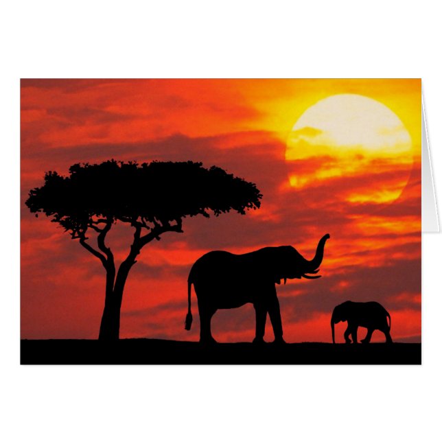 日没カード (正面横)