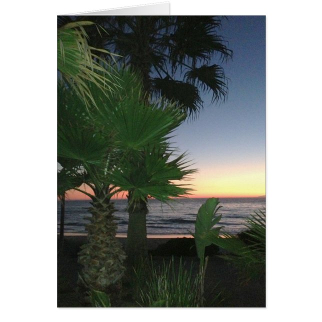 日没カード-中ブランク (正面)