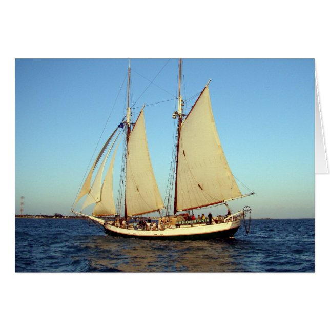 日没クリッパー (正面横)