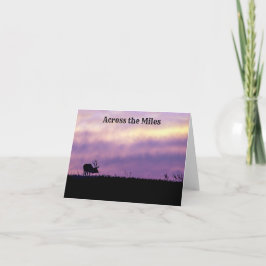 日没グリーティングカードでのエルクシルエット サンキューカード