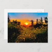 日没バーバンク、カリフォルニアの黄色い野生花 ポストカード (正面/裏面)