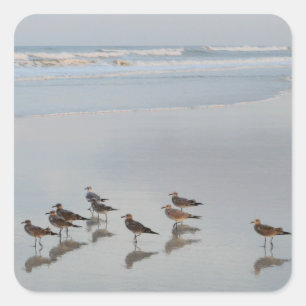 日没ビーチ鳥の群れの写真別海 スクエアシール