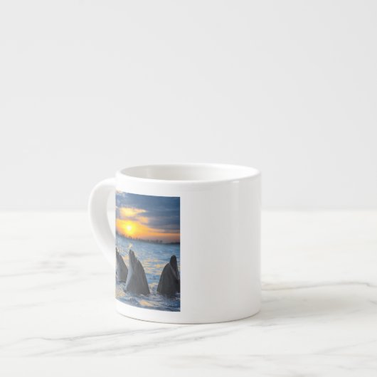 日没ライトのボトルゆっくり進られたイルカ エスプレッソカップ (正面左)