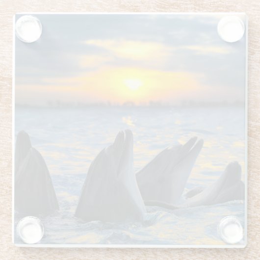 日没ライトのボトルゆっくり進られたイルカ ガラスコースター (裏面)