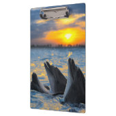 日没ライトのボトルゆっくり進られたイルカ クリップボード (左)