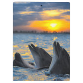 日没ライトのボトルゆっくり進られたイルカ クリップボード (裏面)