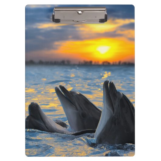 日没ライトのボトルゆっくり進られたイルカ クリップボード (正面)