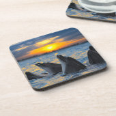 日没ライトのボトルゆっくり進られたイルカ コースター (左側)