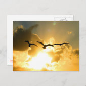 日没便はがき ポストカード (正面/裏面)