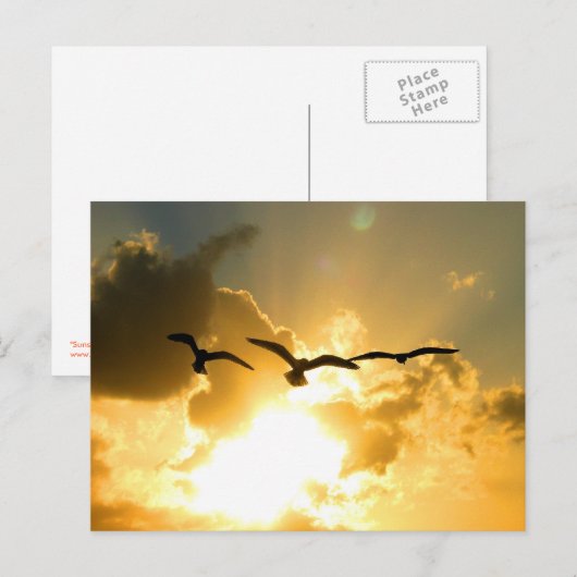 日没便はがき ポストカード (正面/裏面)