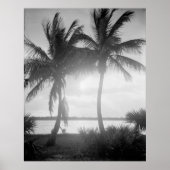 日没写真に残る白と黒のヤシの木 ポスター (正面)