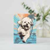 日没時に熱帯のビーチでハバナの犬 ポストカード (スタンド正面)