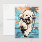 日没時に熱帯のビーチでハバナの犬 ポストカード (正面/裏面)