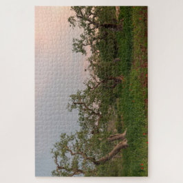 日没時のオリーブの木立 ジグソーパズル