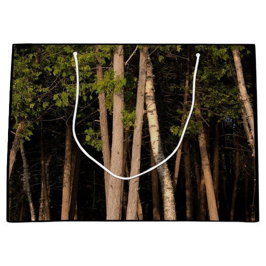 日没時の森の木 ラージペーパーバッグ (正面)
