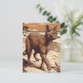 日没時の熱帯ビーチのアビシニアン・キャット ポストカード (スタンド正面)
