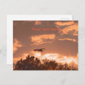 日没素晴らし時の青鷺のシルエット ポストカード (正面/裏面)