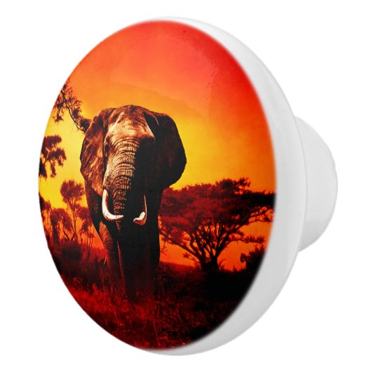 日没象 セラミックノブ (右)