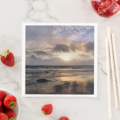 日没 (インサイチュ)