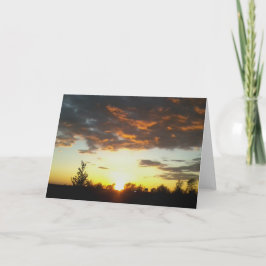 日没3の挨拶状の…携帯電話の写真2016年 カード