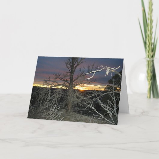 日没 カード (正面)