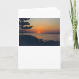 日没、カード カード