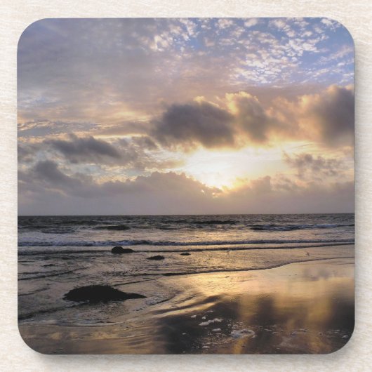 日没 コースター (正面)