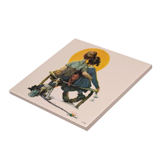 日没 タイル (側面)