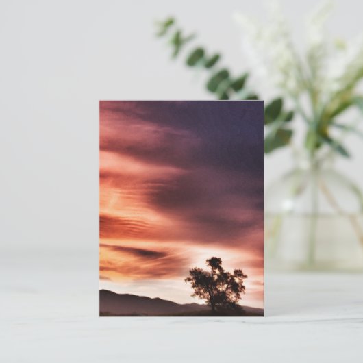 日没` ポストカード (スタンド正面)