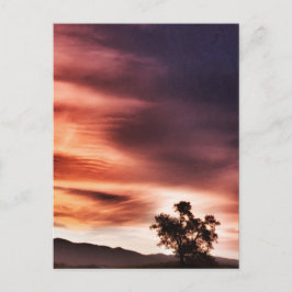 日没` ポストカード