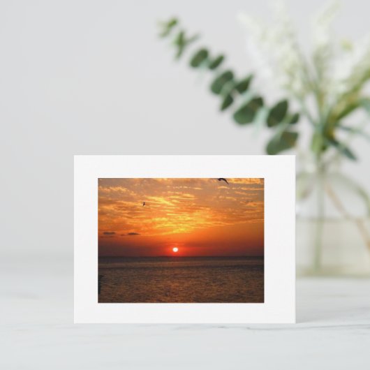 日没 ポストカード (スタンド正面)