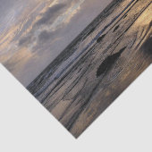 日没 薄葉紙 (詳細)