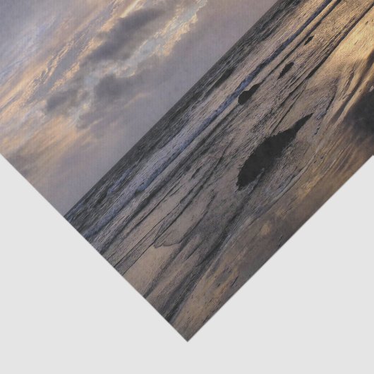 日没 薄葉紙 (詳細)