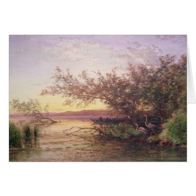 日没、Camargue (正面横)