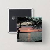 日没Carmel、Ca. 缶バッジ (正面&裏面)