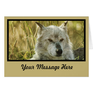 日焼けの危険なほどに平静