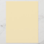 日焼けサロン広告 チラシ (裏面)