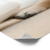 日焼けメスのパグ ポスター (角)