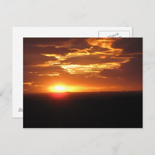 日焼け ポストカード (正面/裏面)