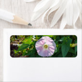 日照の背景 ラベル (インサイチュ)