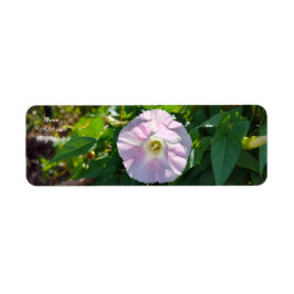 日照の背景 ラベル