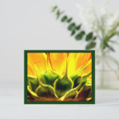 日照りヒマワリ ポストカード (スタンド正面)