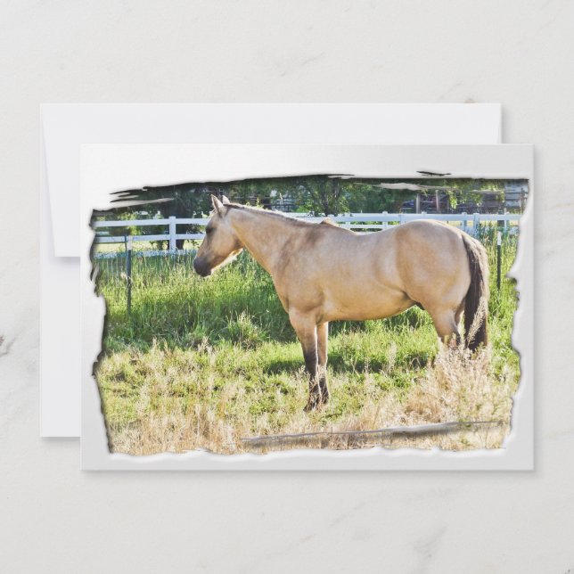 日照り日に照らされた朝（白い枠あり） (正面)